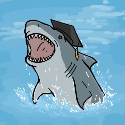 Shark Facts