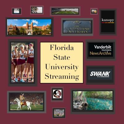 Streaming Platforms
